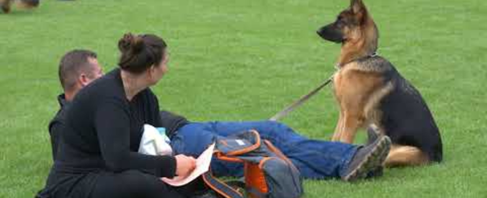 WUSV Universal - Agility 2026