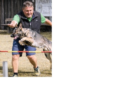 Baloo vom Harwickerplatz