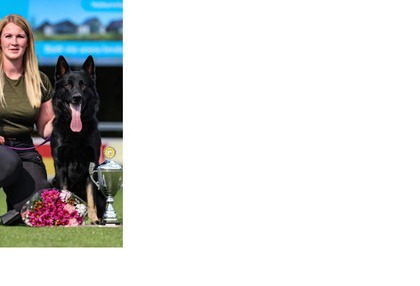 Baco von der Sigisliebe 