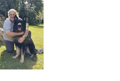 Covic der dunkle Schatten