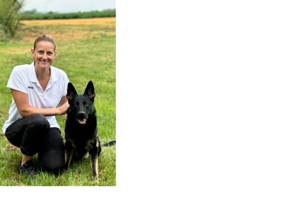 Crash von RazzFazz (INT)