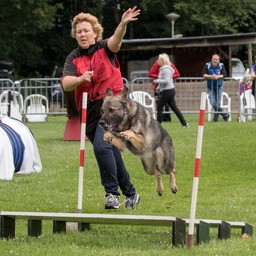 Agility