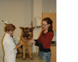Dierenarts controle