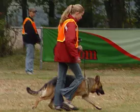Trainingstijden