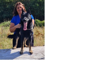 Lio van het Cranenbos