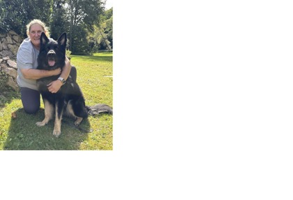 Covic der dunkle Schatten 