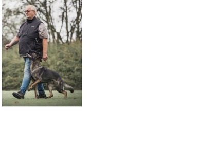 Whizzy vom Hause Chriser 